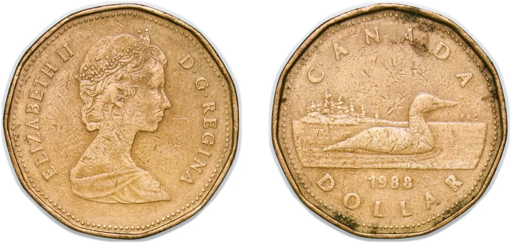 1 Dollar - Elizabeth II (2nd portrait) 1988 (VF) - Canada | Coins